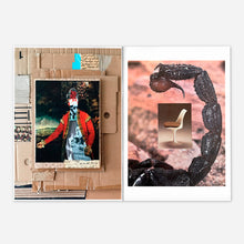 Load image into Gallery viewer, Cults Of Life #12: Saturation